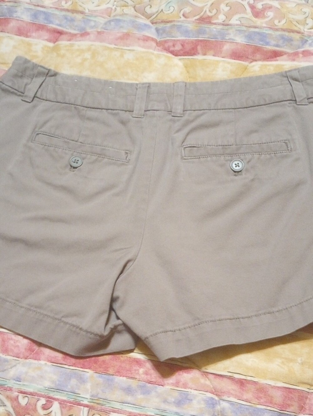 LOFT Women's Deep Tan Chino Shorts - Picture 5 of 5